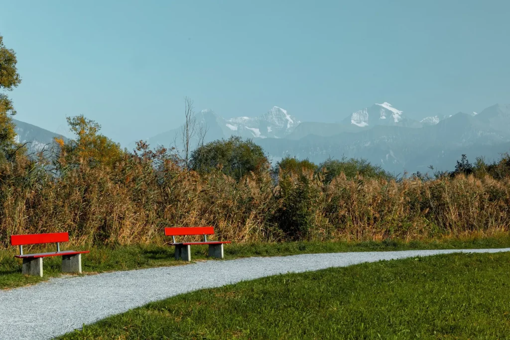 Zwei rote Bänke am Kiesweg vor dem Schilf, dahinter verschneite Gipfel.