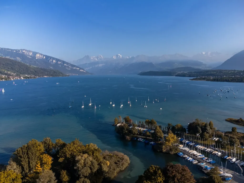 Der Thunersee von oben mit Segelbooten und Bootshafen, im Hintergrund die Berner Alpen.